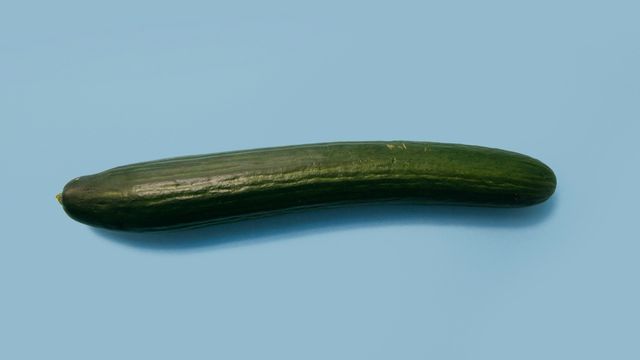 Silent Mutation Makes Cucumbers Longer