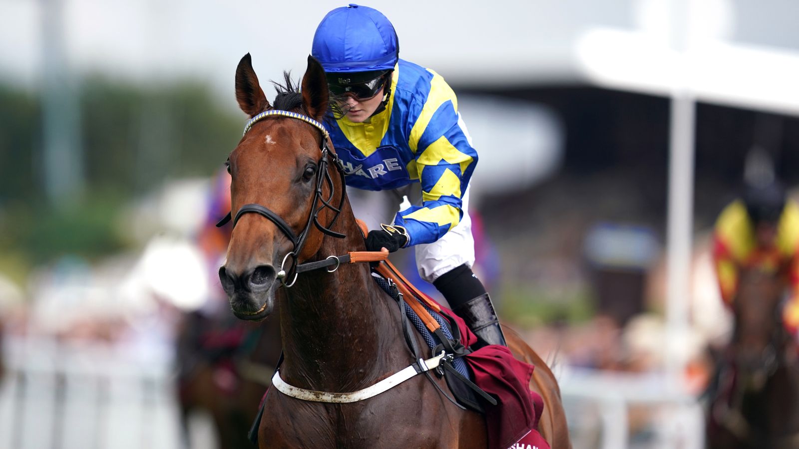 Hollie Doyle aboard legendary stayer Trueshan