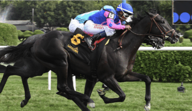 Smooth Breeze sails into Thursday’s $150K Rick Violette