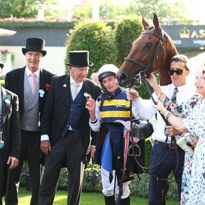 Terry Henderson: It’s hard to appreciate the luck we had at Royal Ascot | Topics: Royal Ascot, What They're Thinking, Docklands, OTI Racing, Terry Henderson, Sober, Melbourne Cup