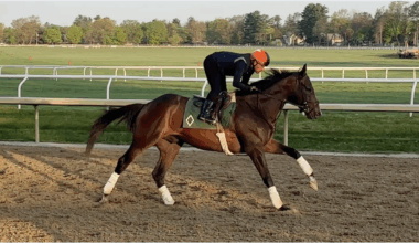 Sovereignty tunes up for G2 Jim Dandy presented by Mohegan Sun