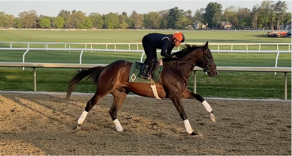 Sovereignty tunes up for G2 Jim Dandy presented by Mohegan Sun