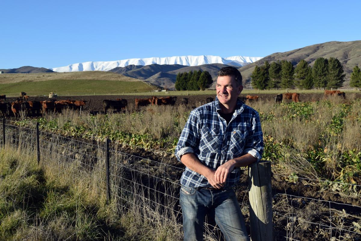 Davis joins fellow farmers in scheme to accelerate beef genetic benefits
