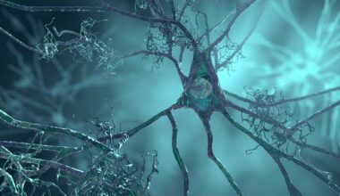 Stem Cell Tool Models Genetic Risk for Alzheimer’s