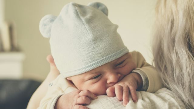 Is Sex at Birth Random? Harvard Study Challenges Old Beliefs