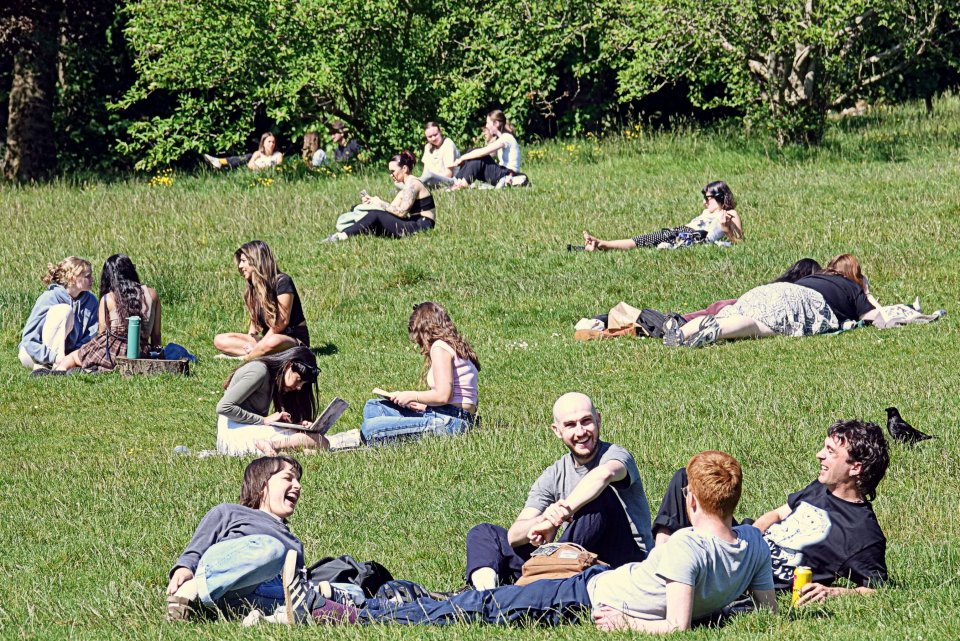 People relaxing on a sunny day in a grassy park.