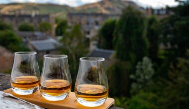 The 7 best whisky shows at the 2025 Edinburgh Festival Fringe - including drams under the stars