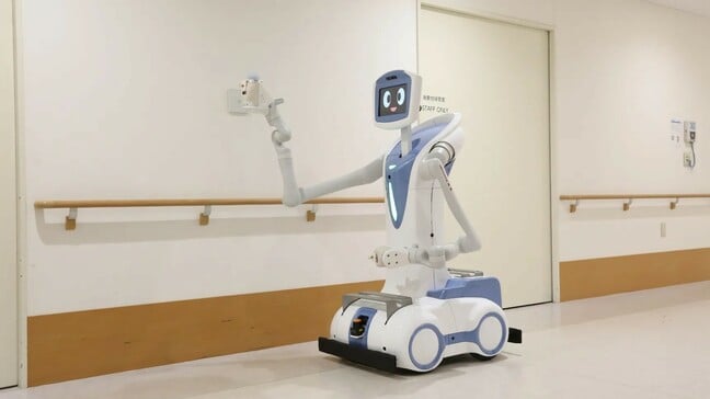 Kawasaki's Nyokkey robot