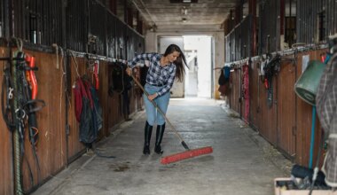 Fixing The Equine Industry's Employment Crisis: A Path Forward