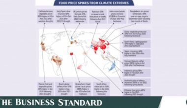 How climate change drives up your grocery bill