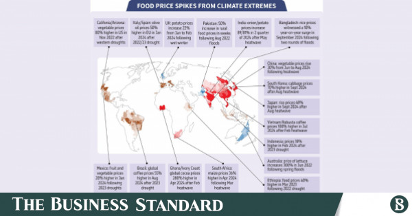 How climate change drives up your grocery bill