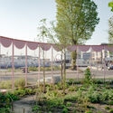 The Architecture of Rewilding: Designing for Ecosystem Recovery - Image 5 of 73