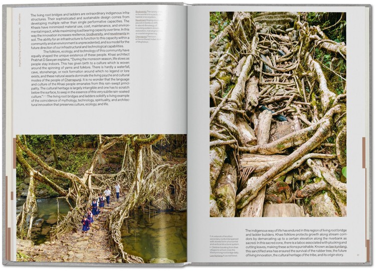 The Architecture of Rewilding: Designing for Ecosystem Recovery - Image 34 of 73