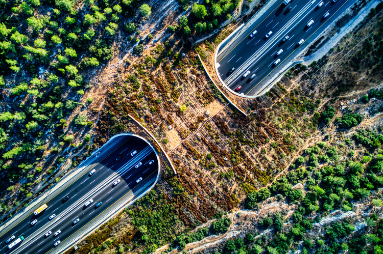 The Architecture of Rewilding: Designing for Ecosystem Recovery - Image 36 of 73