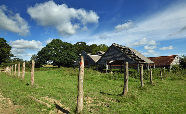 The Architecture of Rewilding: Designing for Ecosystem Recovery - Image 51 of 73