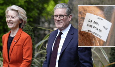 EU regulations rubber-stamped into UK law in shock Brexit betrayal