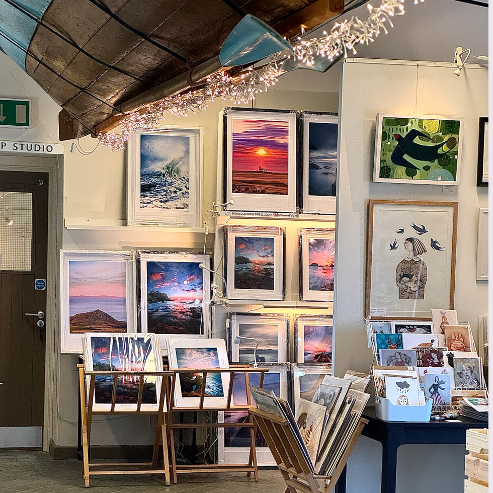 art gallery showcasing photography and artwork