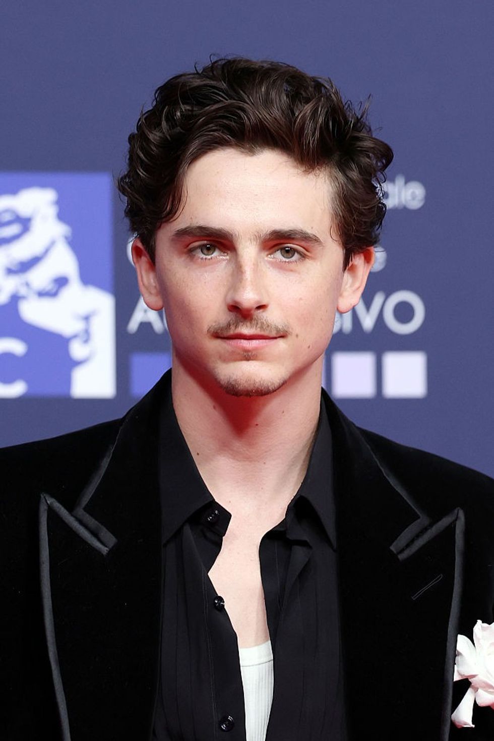 Timoth\u00e9e Chalamet
