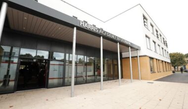 Teachers strike after Jamaican staff 'targeted' at south London school