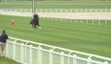 Horse racing returns to Fair Hill, bringing jobs and tourism to Cecil County