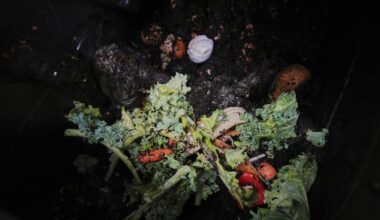 How composting works wherever you live