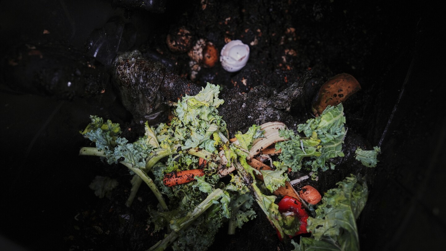 How composting works wherever you live