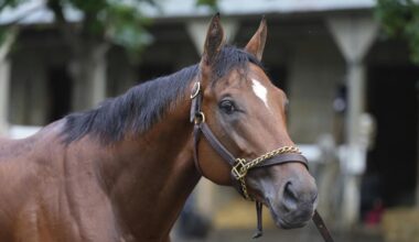 Journalism wins $1 million Haskell Stakes to earn Breeders' Cup trip