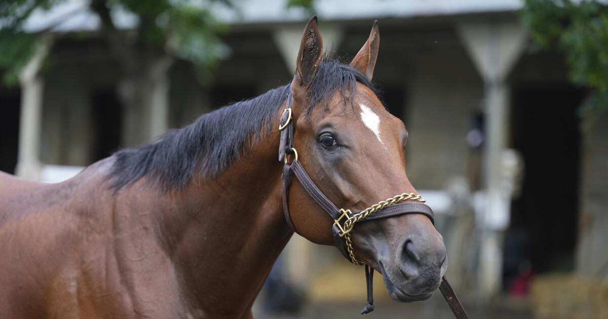 Journalism wins $1 million Haskell Stakes to earn Breeders' Cup trip