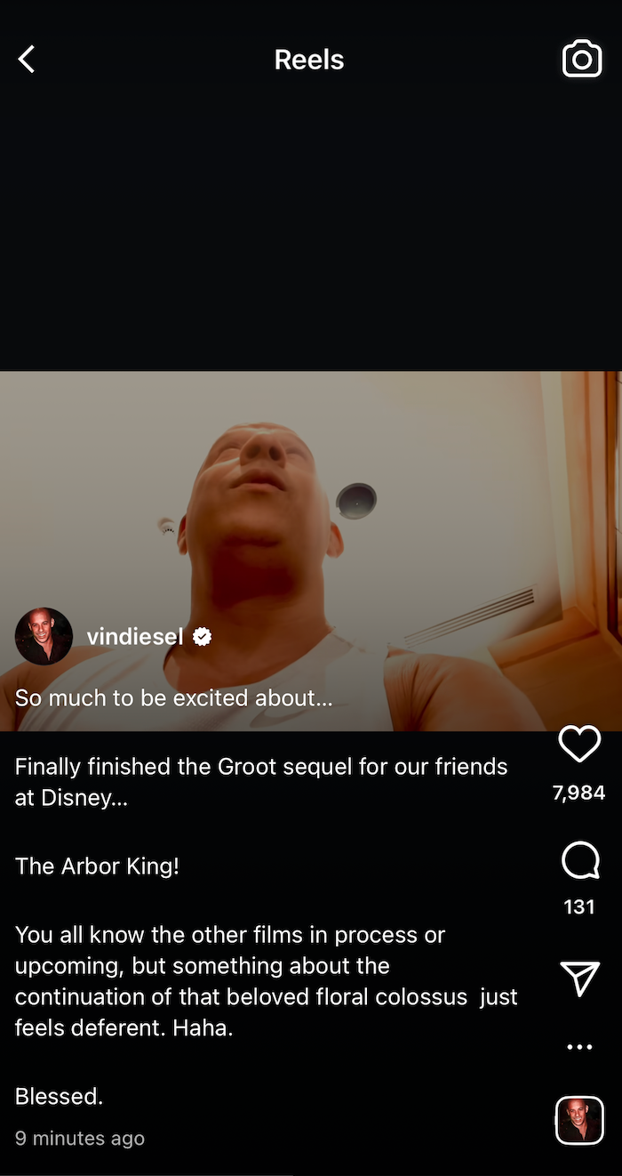 Vin Diesel Groot
