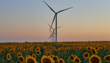 Wind generators generate energy in the field