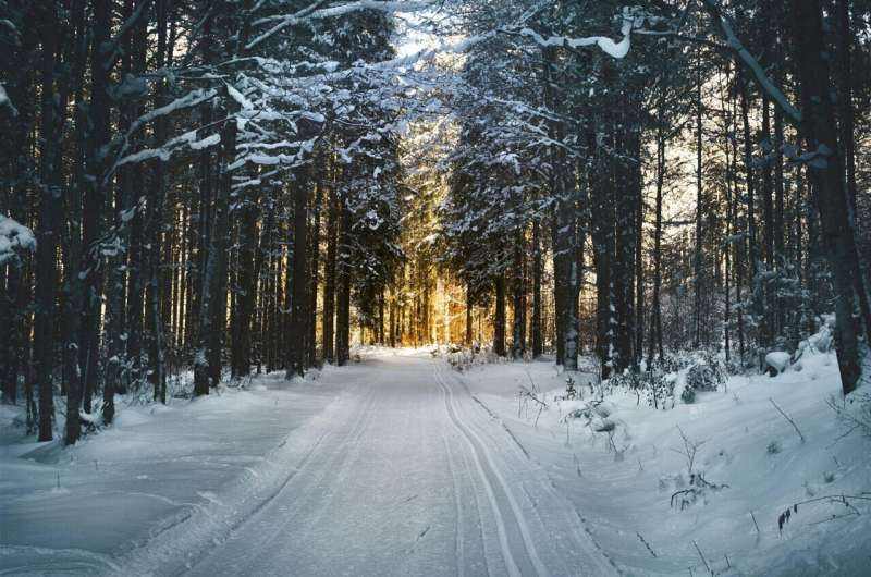 winter