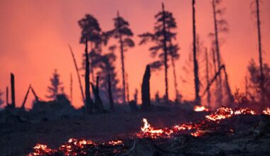 Wildfires in eastern Germany injure firefighters and force evacuations