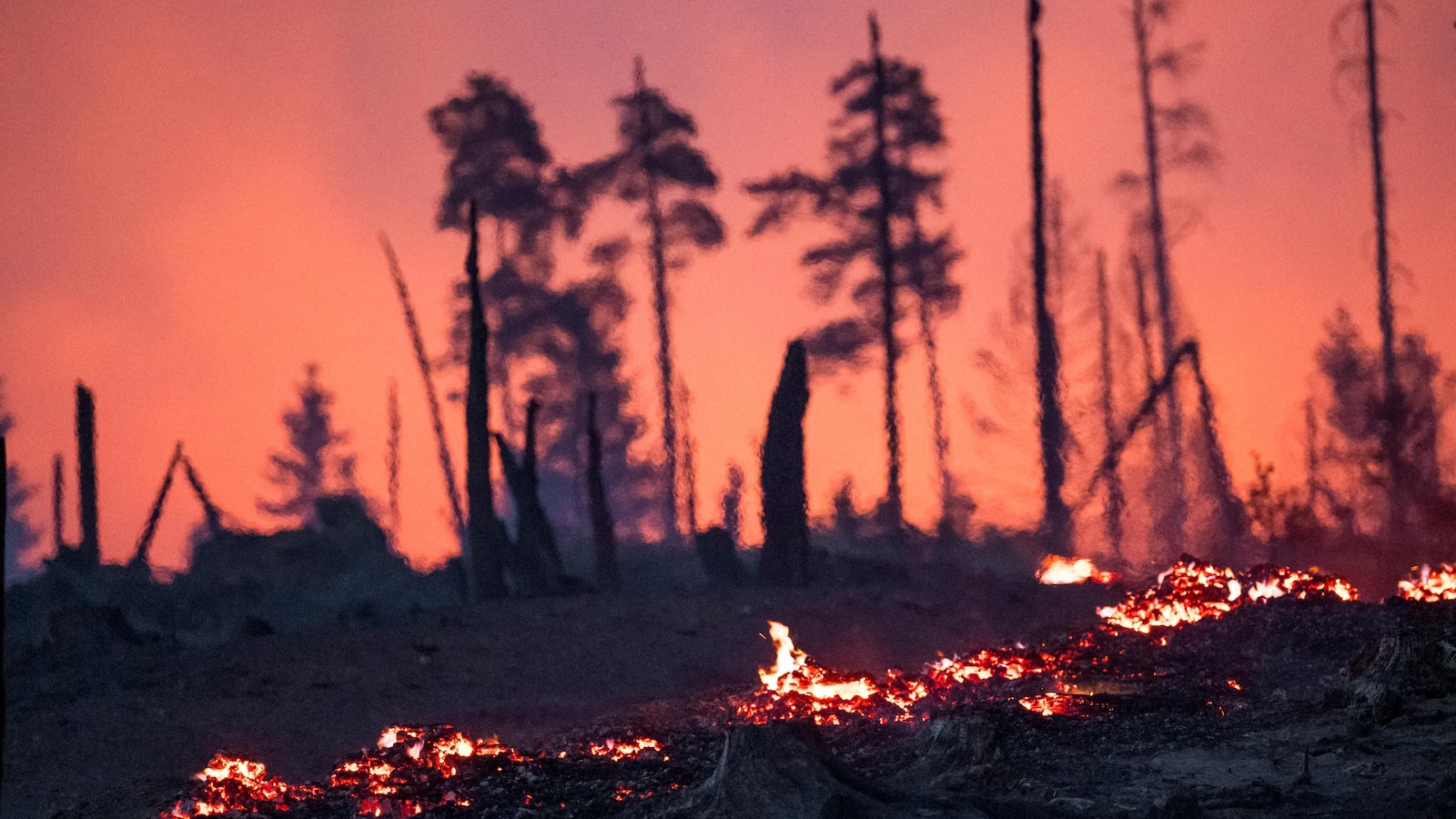 Wildfires in eastern Germany injure firefighters and force evacuations