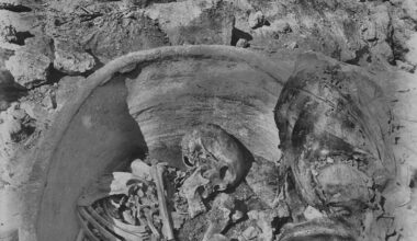 Ancient DNA shows genetic link between Egypt and Mesopotamia