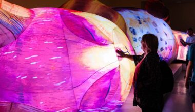The Huge, Inflatable Cat Installation At Manchester Museum