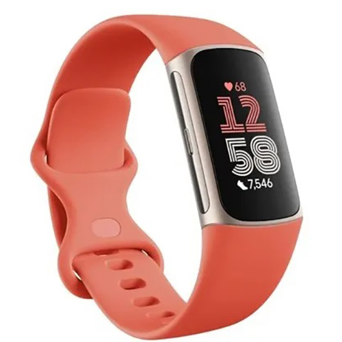 Fitbit Charge 6
