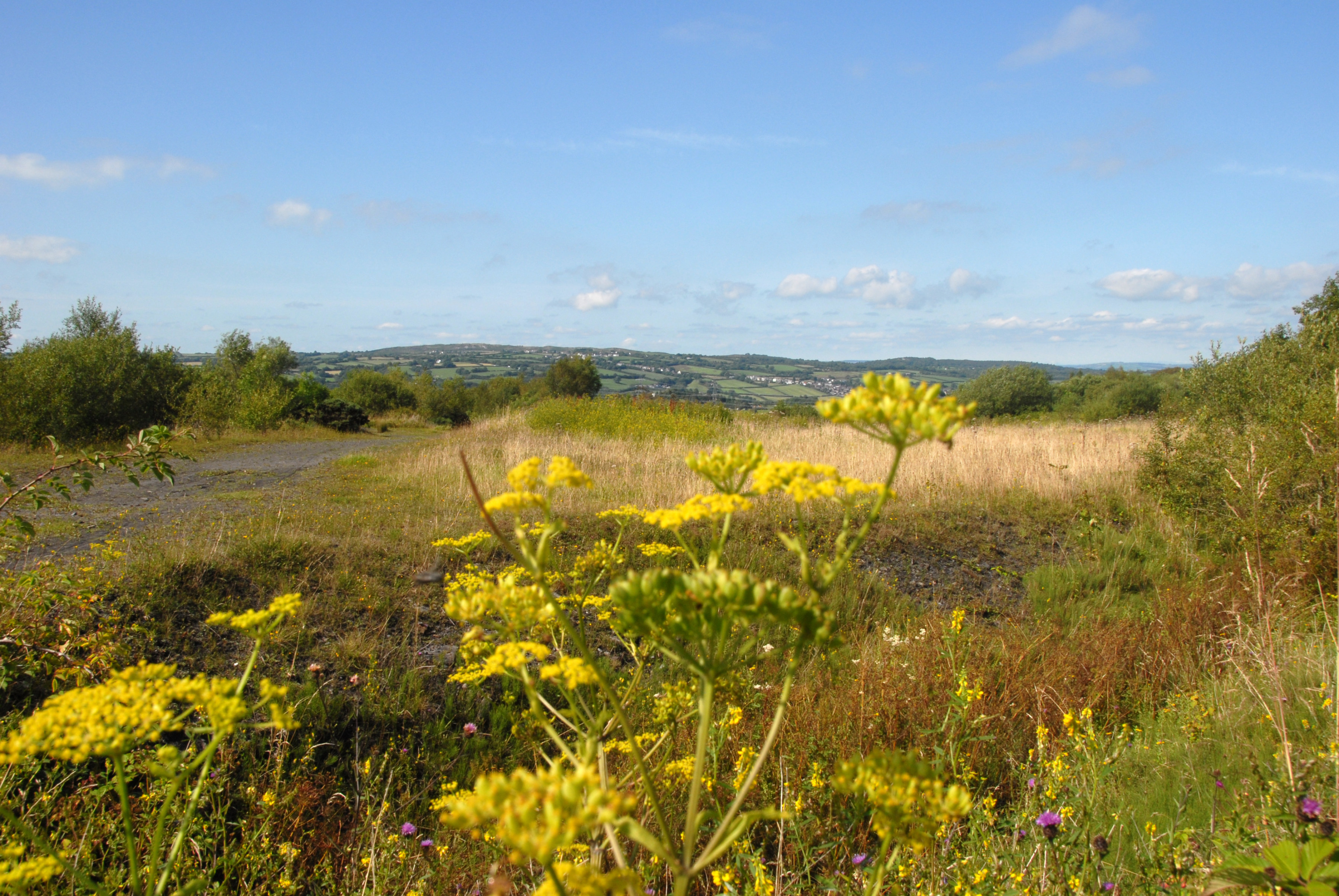 View of Gwendraeth valley from a disused railway line.