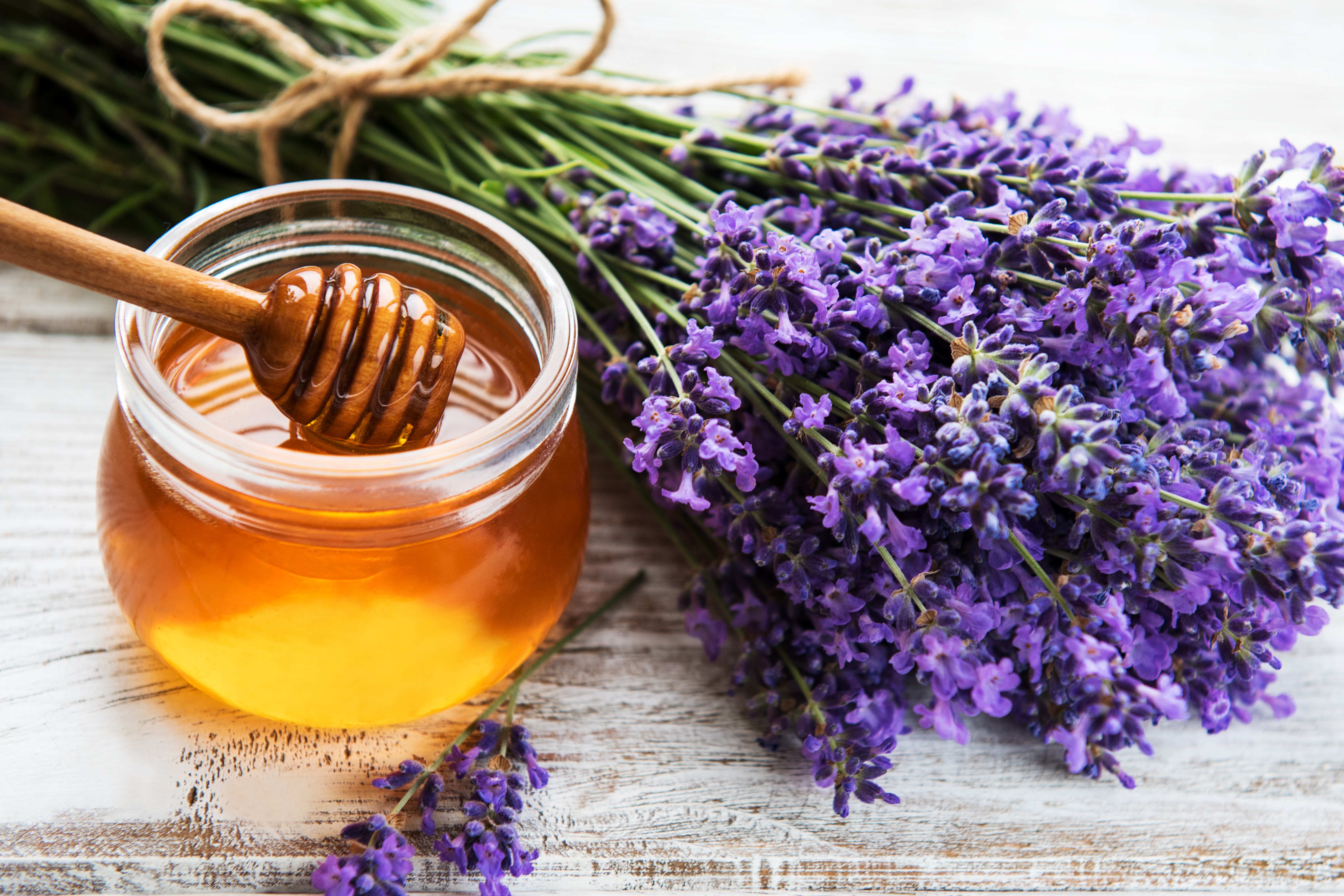 Jar with honey and fresh lavender