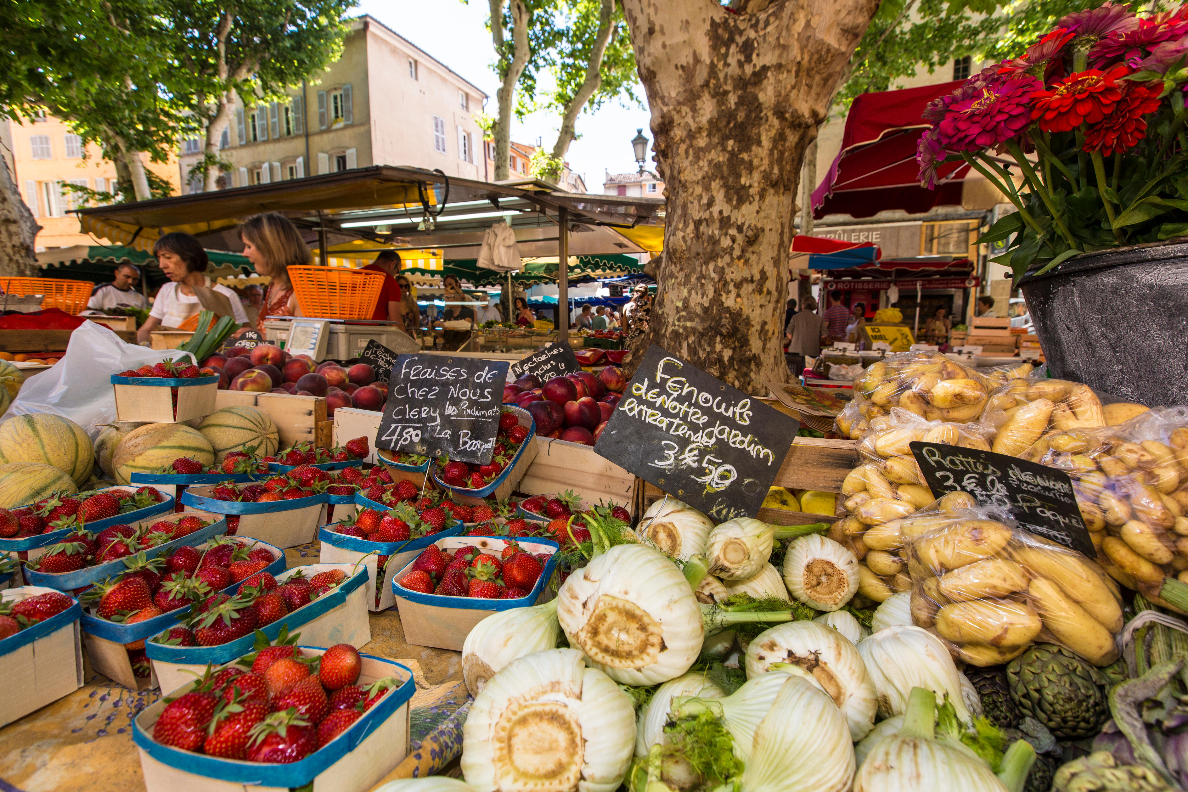 France, Bouches du Rhone, Aix en Provence, market Place Richelme