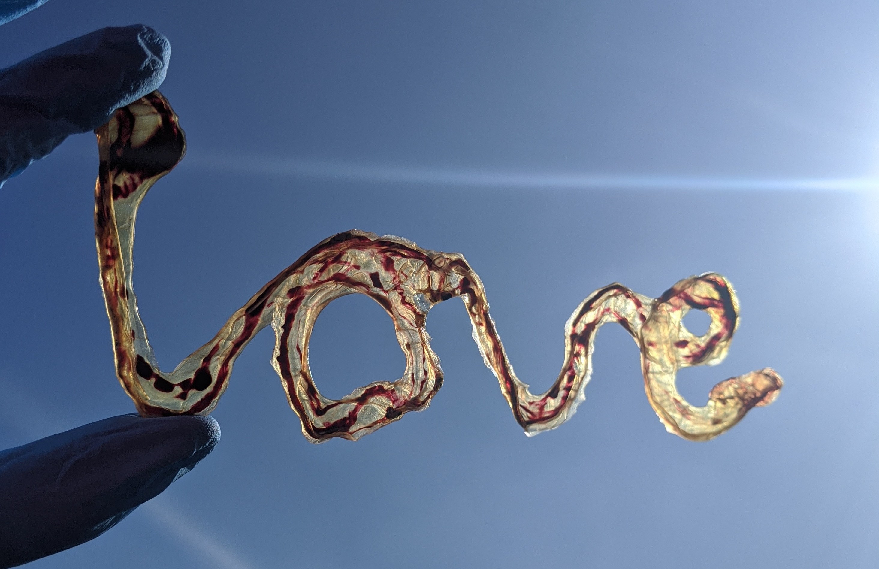 Dried umbilical cord art spelling "love."