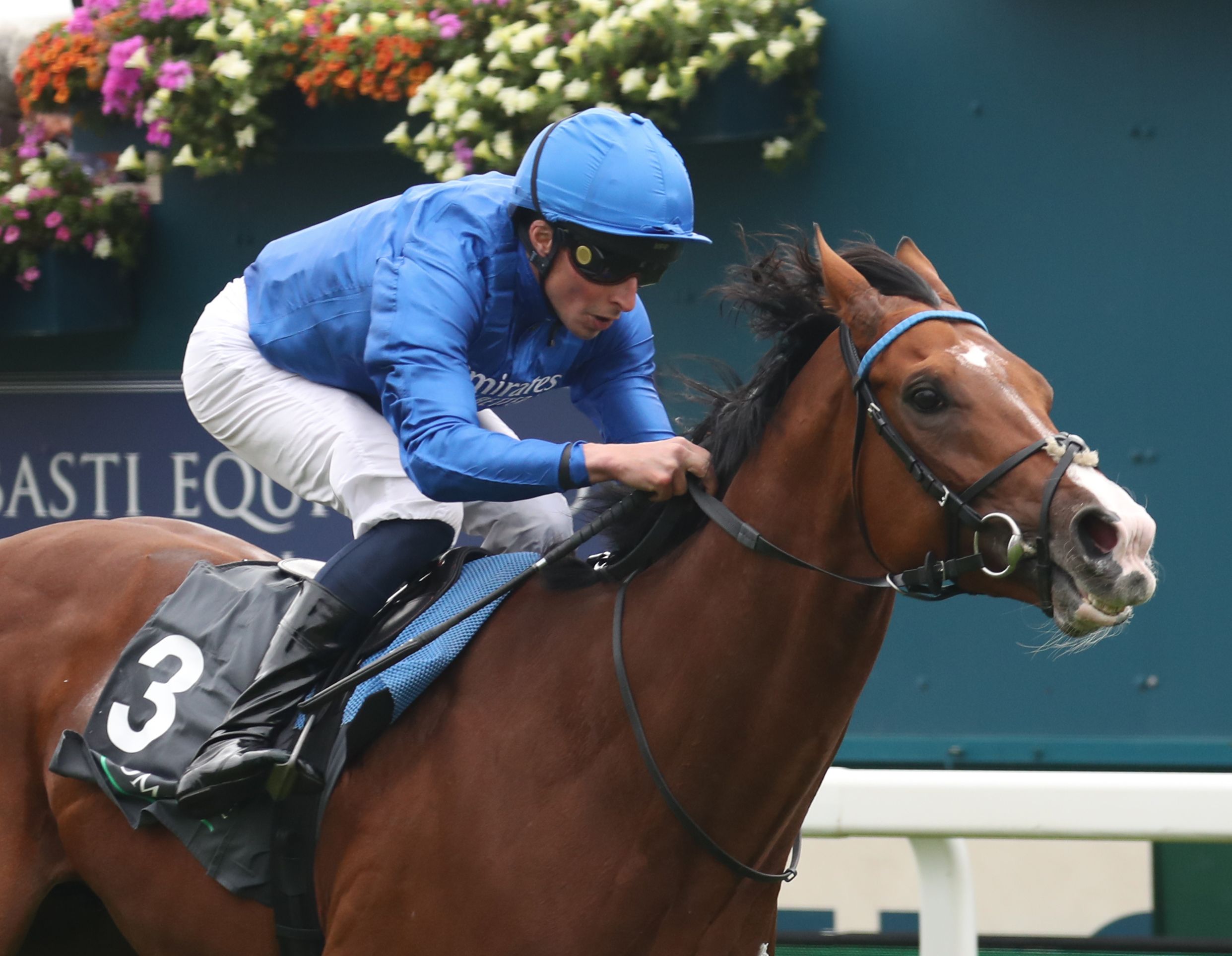 Horse Racing - 20 Aug 2025