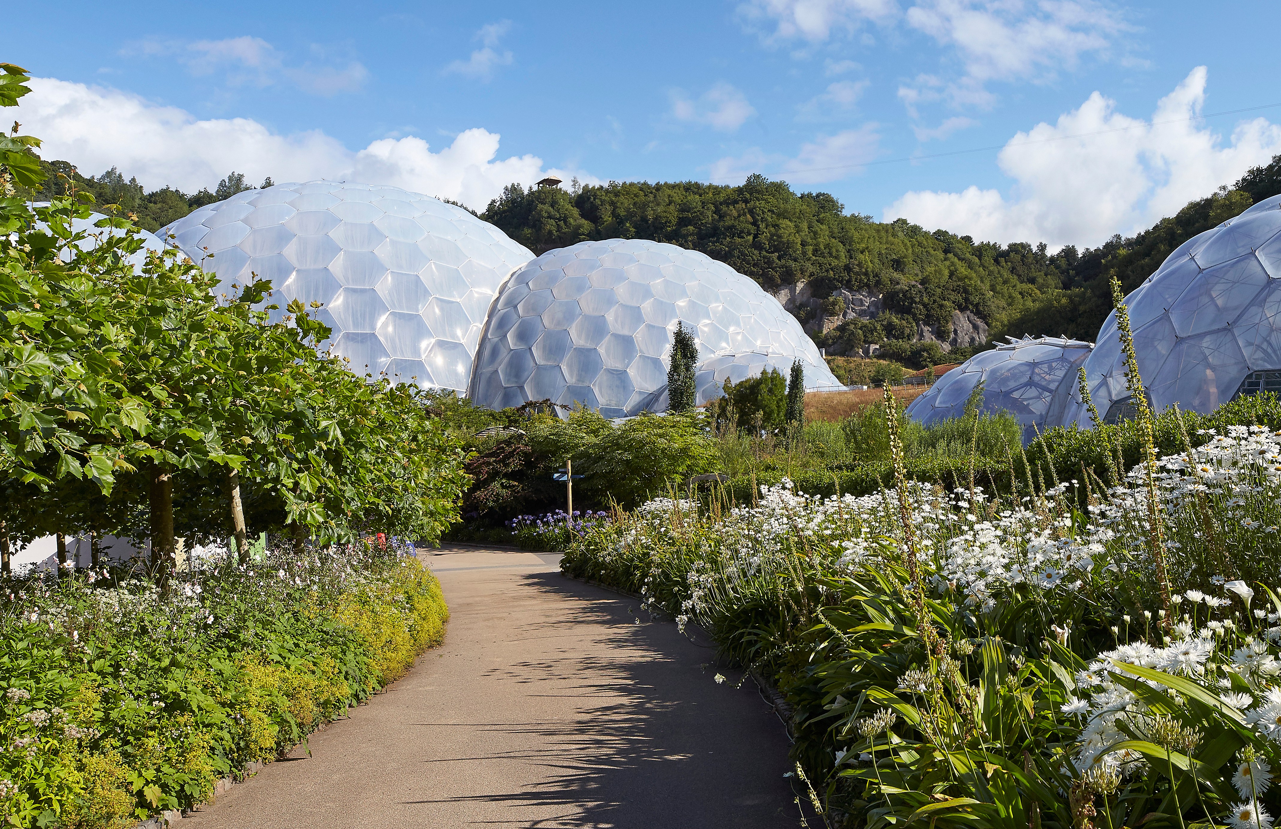 Path leading to the Eden Project's biomes.