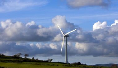 Wind energy made up 24% of total supply in July