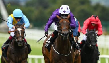 Arizona Blaze on course for 'wide open' Nunthorpe