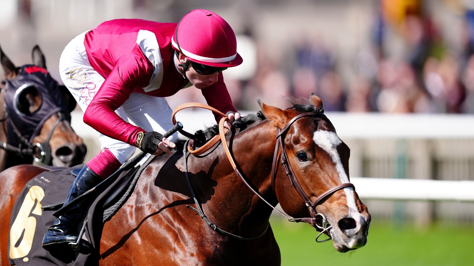 Sajir set to follow in father's hoofprints