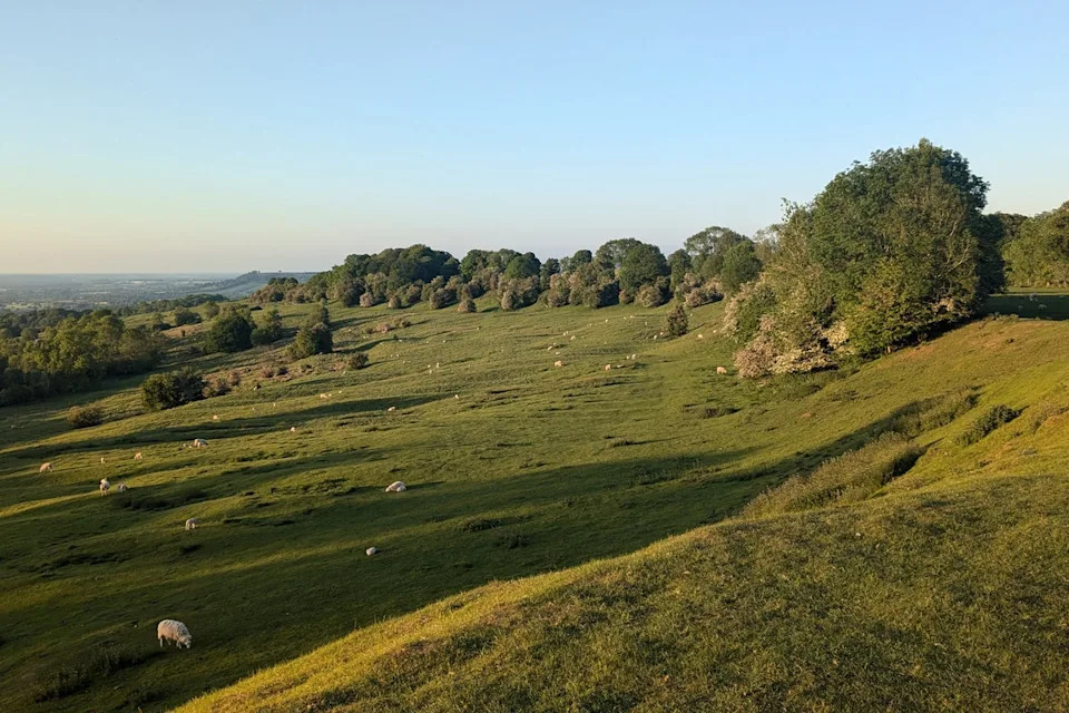 Travelling by bus allowed Gabriel to discover the bucolic landscape of the Cotswolds (Gabriel Stewart)