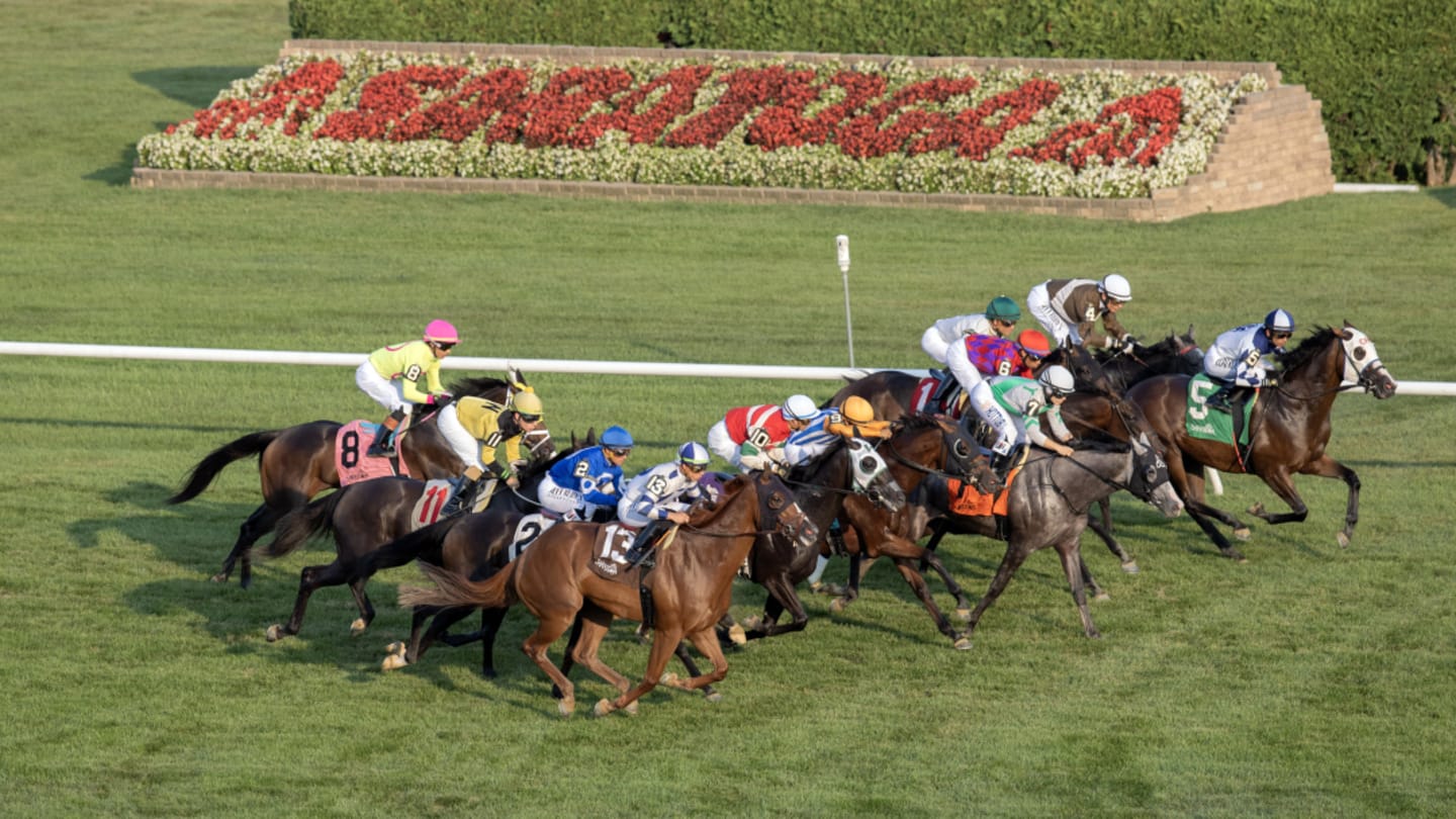 DRF's Horse Racing Playbook for Thursday, August 14, 2025