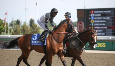 Horse Race of the Day for August 20th: Buchhero Handicap