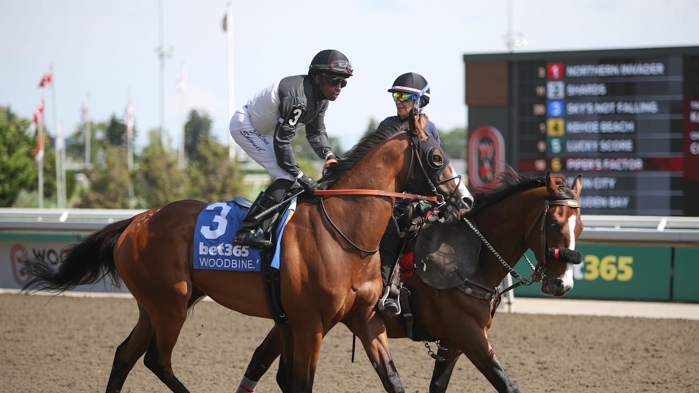 Horse Race of the Day for August 20th: Buchhero Handicap