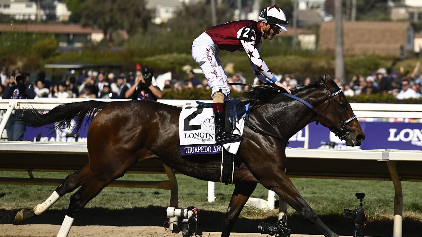 Thorpedo Anna digs deep for a win in the Grade 1 Personal Ensign